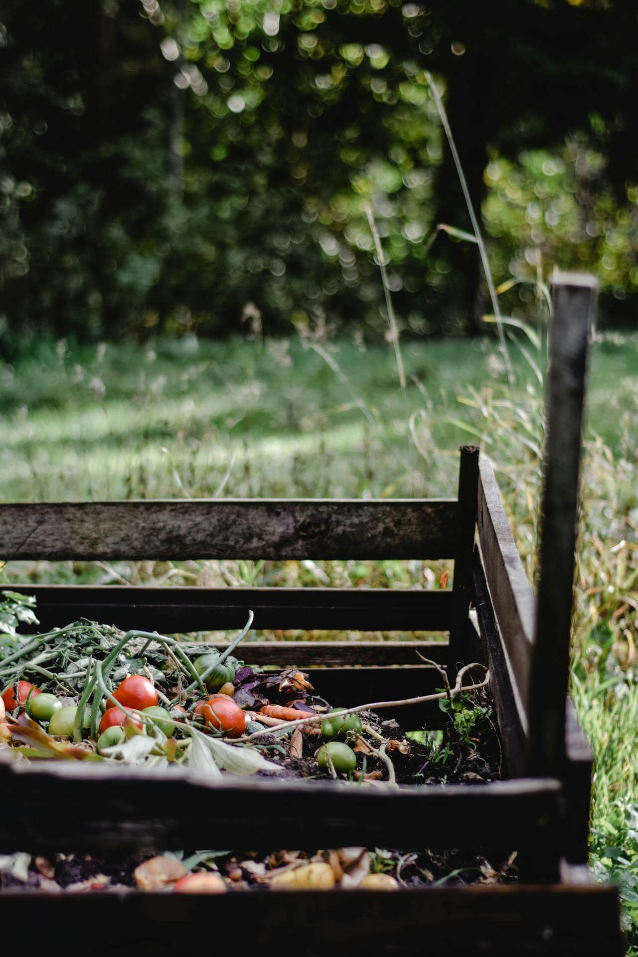 Outdoor open compost pile filled with food scraps and garden waste.