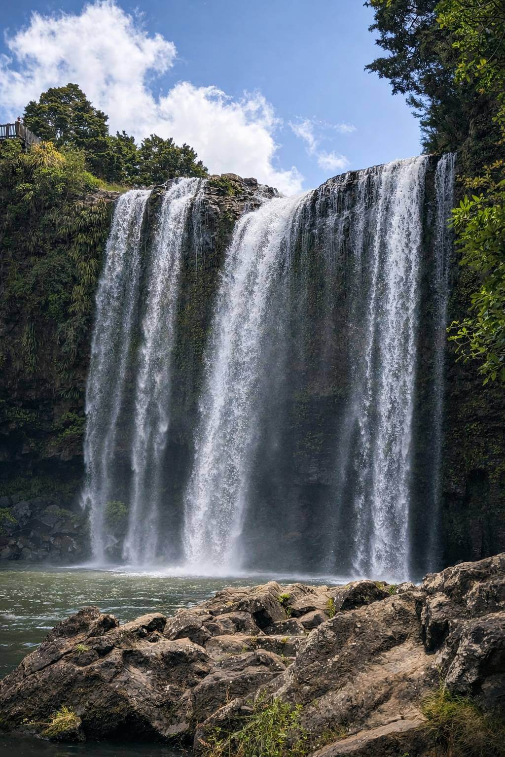 Whangārei Falls Walk: Honest Guide to One of Northland’s Most Popular Waterfalls