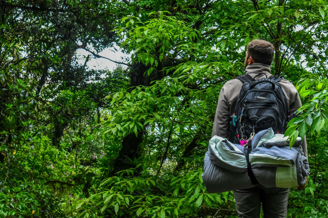 Man in full hiking gear standing at the edge of dense bushline in remote wilderness, scanning the terrain