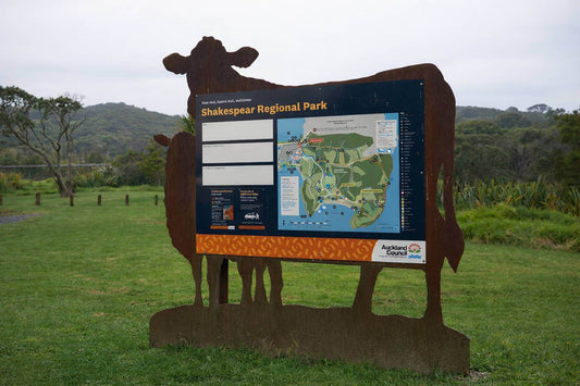 Shakespear Regional Park Walk: Honest Guide to the Best Easy Tracks Near Auckland