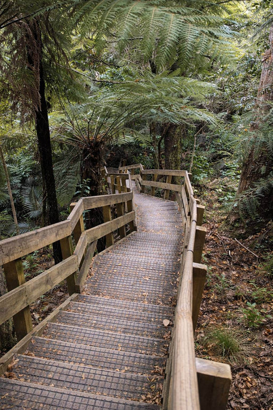 Clevedon Scenic Reserve Track and Thorps Quarry: Honest Guide Before You Go