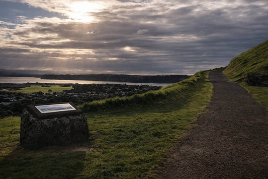 Best Beginner Hikes in Auckland: Easy Walks That Actually Help You Build Up