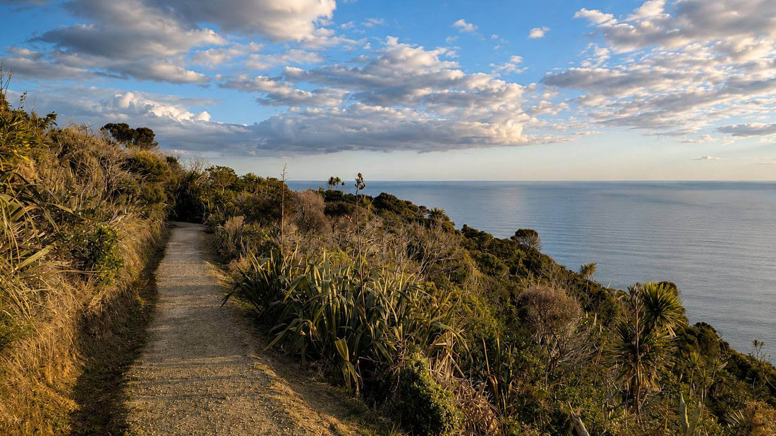 Mercer Bay Loop Walk: Honest Guide Before You Go