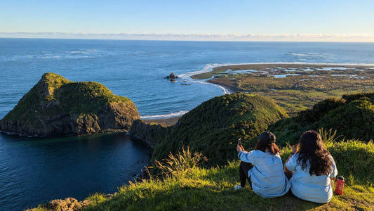 Omanawanui Track Walk Auckland: Hidden Gem Coastal Hike Worth the Effort