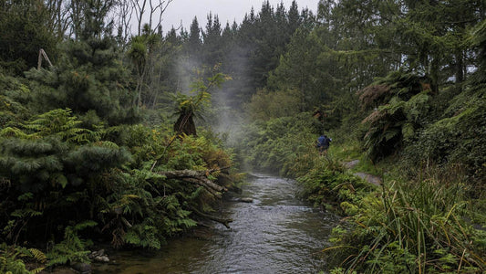 Kerosene Creek Rotorua: Free Hot Pools Walk and What It’s Actually Like