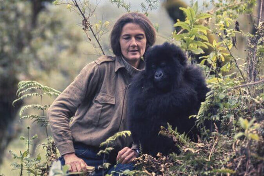 Dian Fossey: The Gorilla Guardian Who Changed Wildlife Conservation Forever