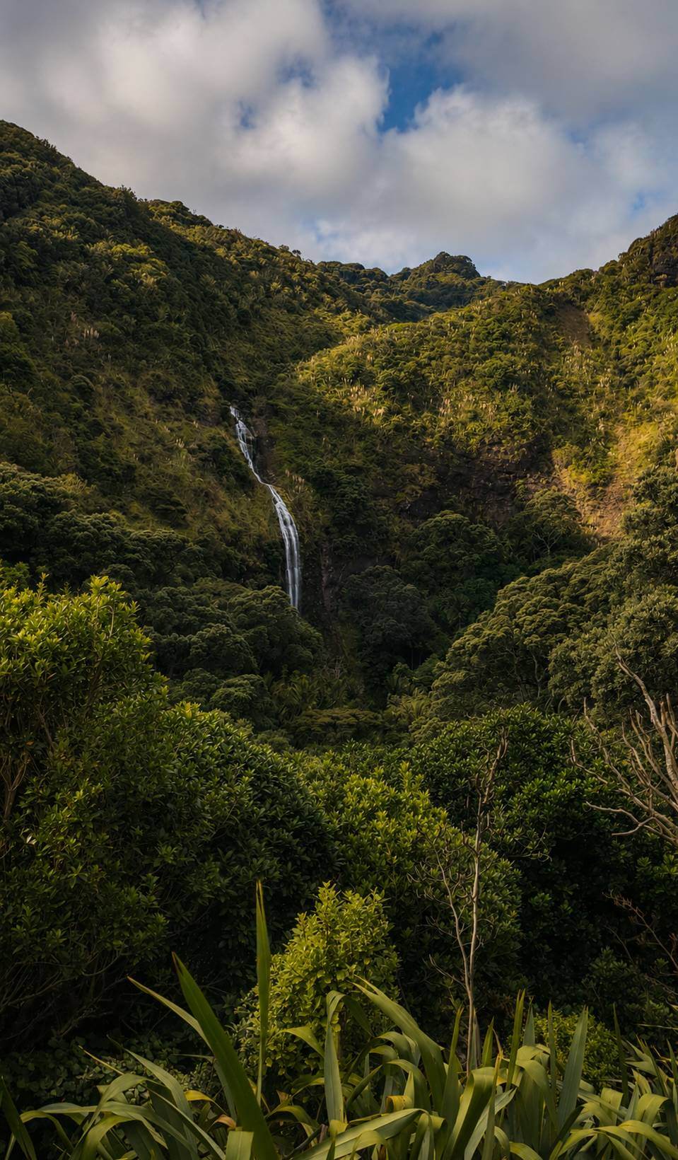 Karekare Falls Walk: Honest Local Guide Before You Go
