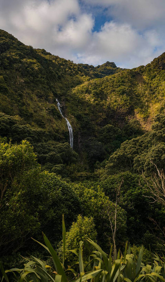 Karekare Falls Walk: Honest Local Guide Before You Go