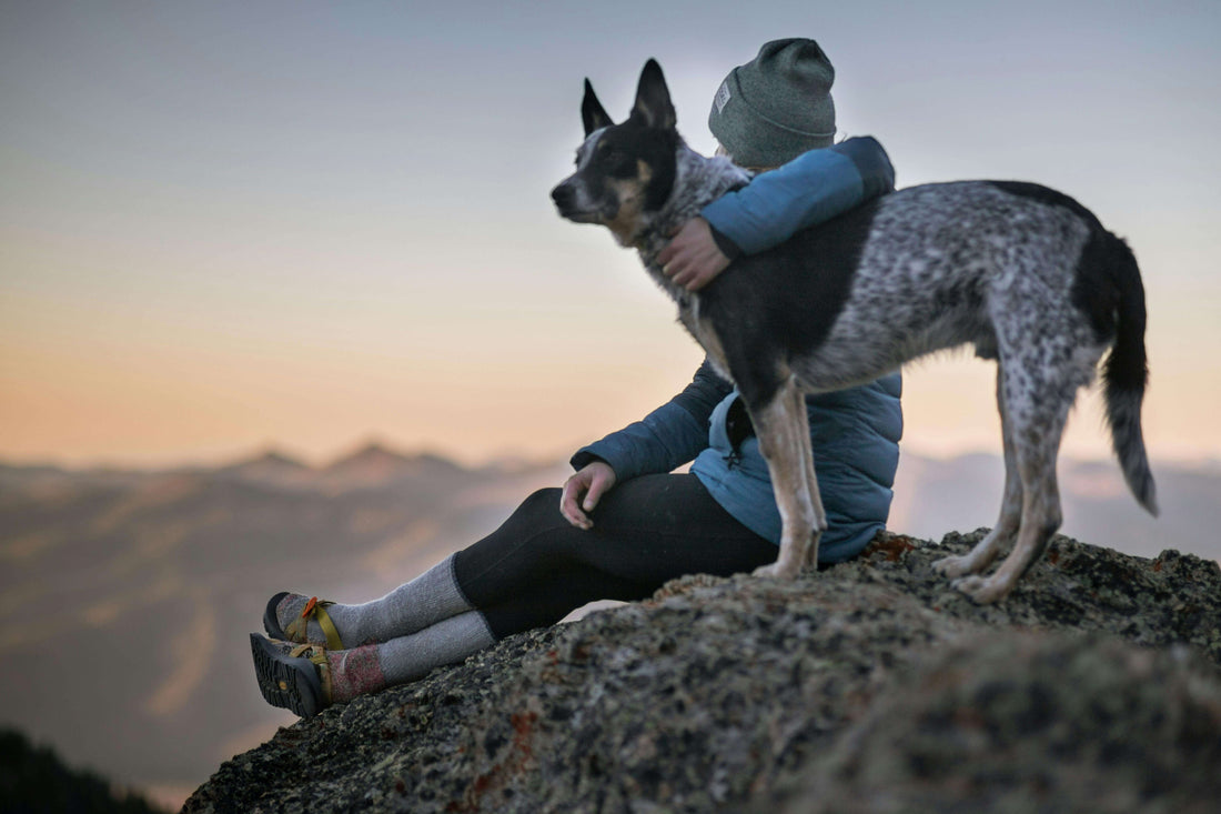 Woman hiker with her arm around her dog, both gazing out from a mountaintop after a trail adventure