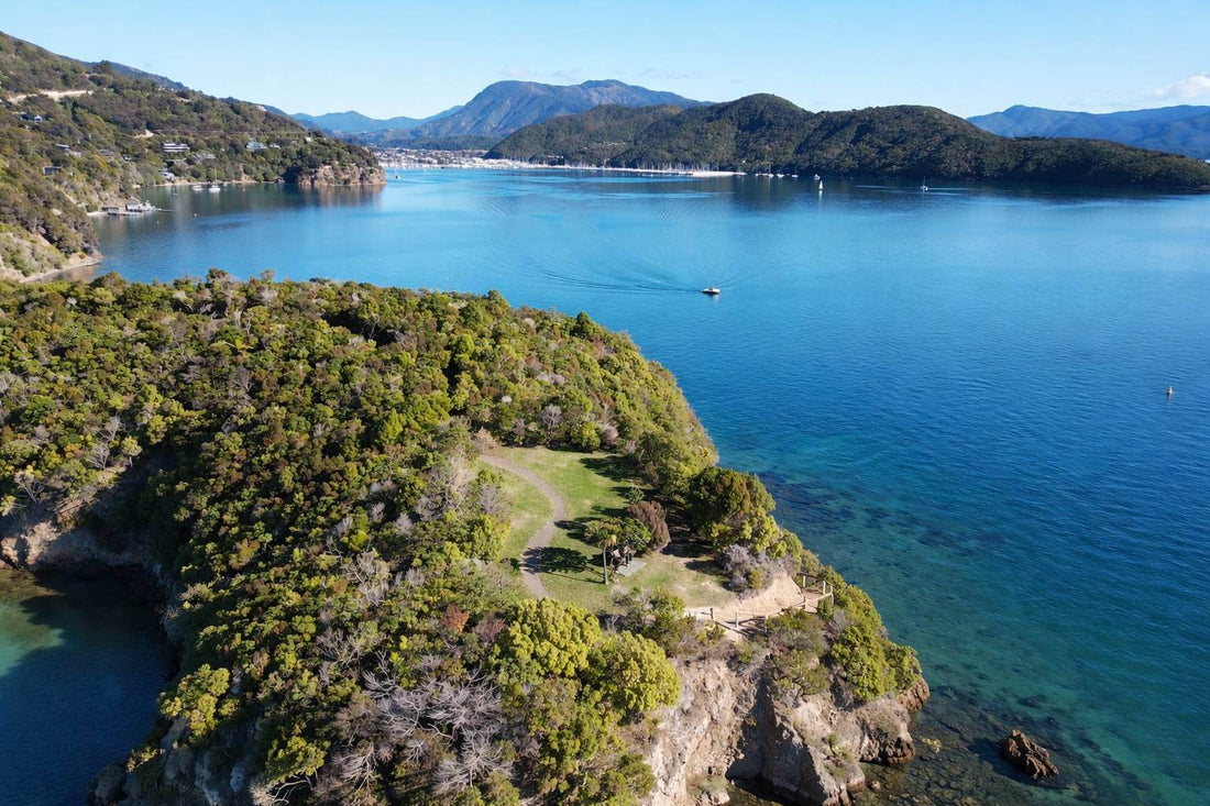 Karaka Point Walk Picton: Easy Coastal Walk with History