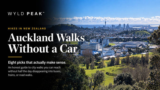 Best Auckland Walks Without a Car: 8 That Actually Make Sense