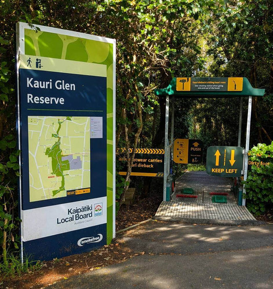 Kauri Glen Reserve Walk, Auckland: What It’s Actually Like