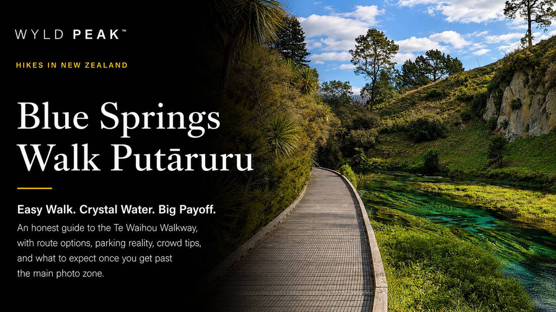 Blue Springs Walk Putāruru: Te Waihou Walkway Tips Before You Go