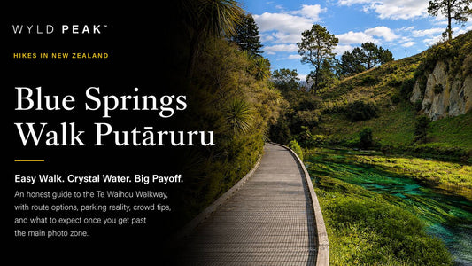 Blue Springs Walk Putāruru: Te Waihou Walkway Tips Before You Go