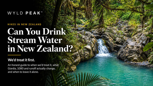 Can You Drink Stream Water in New Zealand? We’d Treat It First