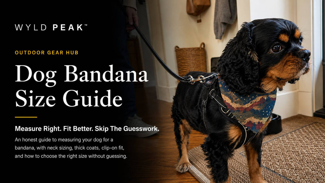 Dog Bandana Size Guide: Measure Your Dog Without Guessing