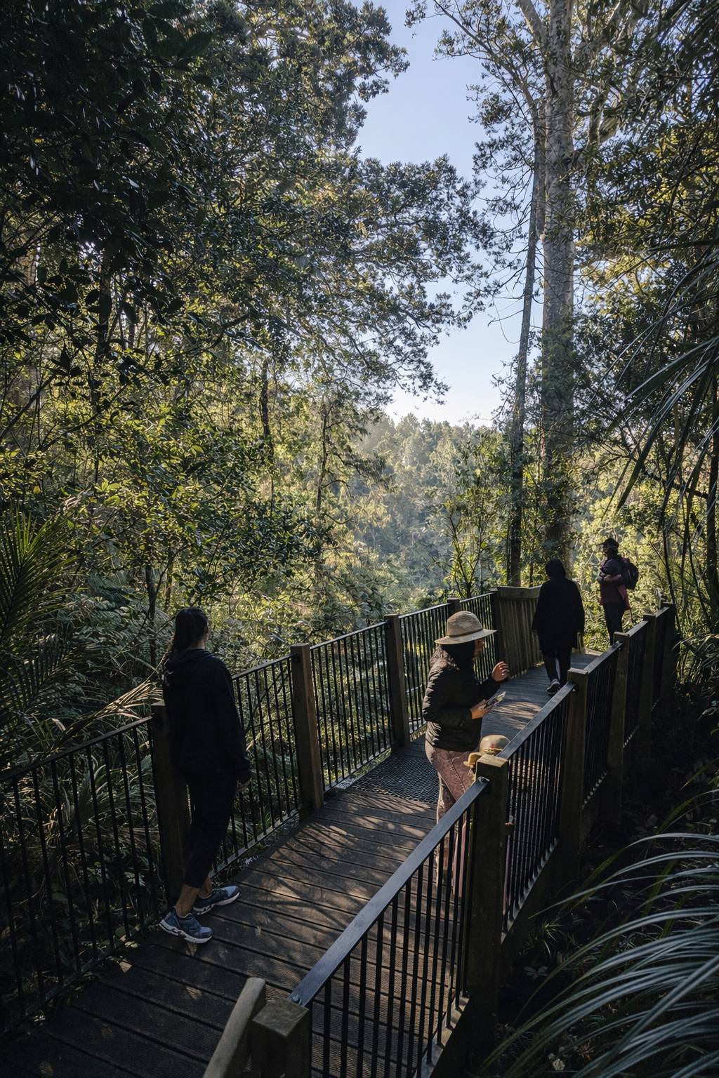 Best Waterfall Walks Near Auckland: 3 That Are Actually Worth It