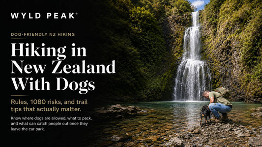 Hiking in New Zealand With Dogs: Rules, 1080 Risks & Trail Tips