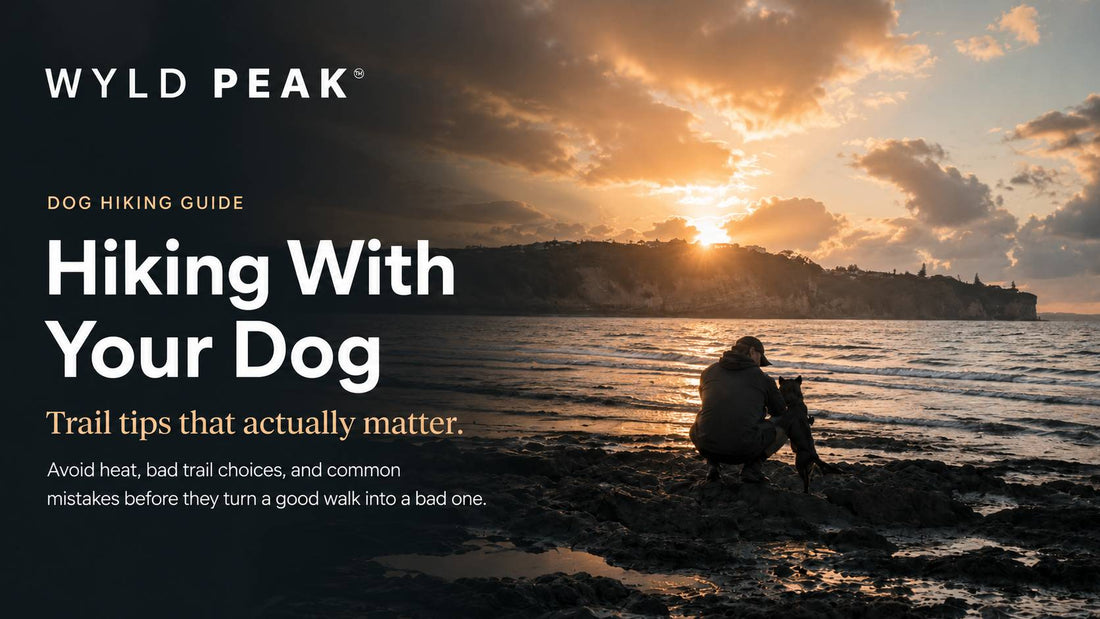 Hiking With Your Dog: Trail Tips That Actually Matter