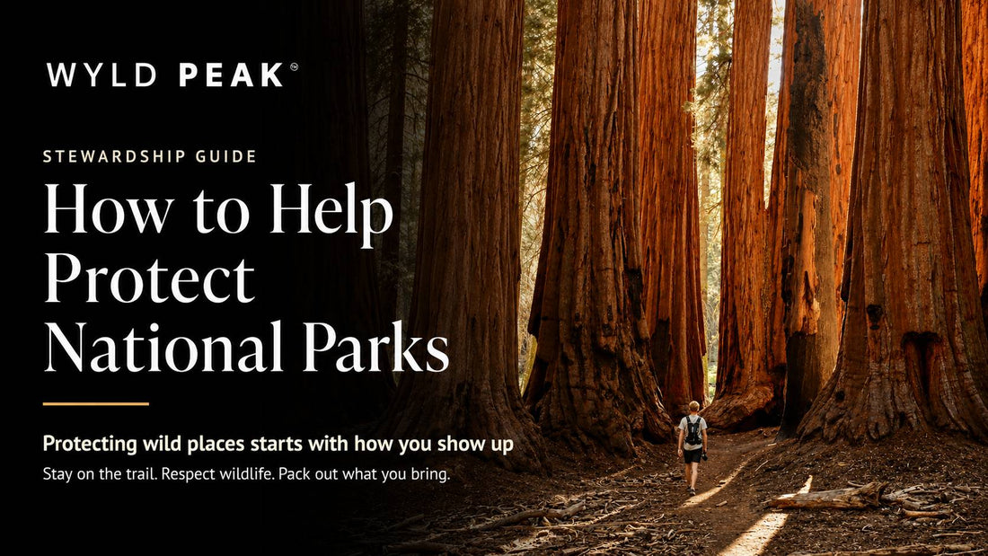 How to Help Protect National Parks Without Being an Expert