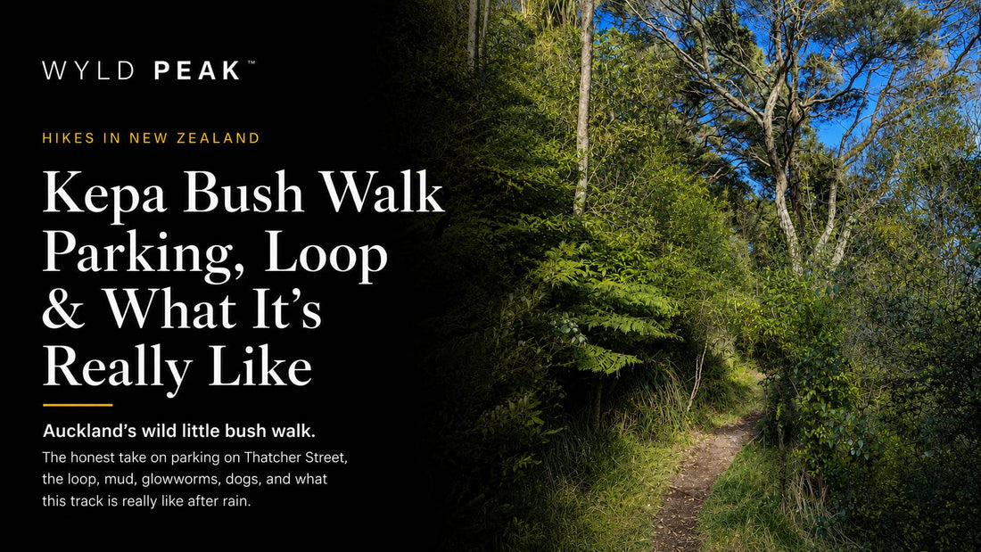 Kepa Bush Walk Auckland: Parking, Loop and What It’s Really Like