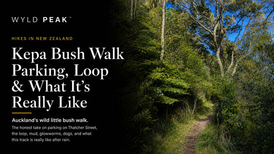 Kepa Bush Walk Auckland: Parking, Loop and What It’s Really Like