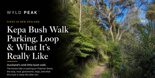 Kepa Bush Walk Auckland: Parking, Loop and What It’s Really Like