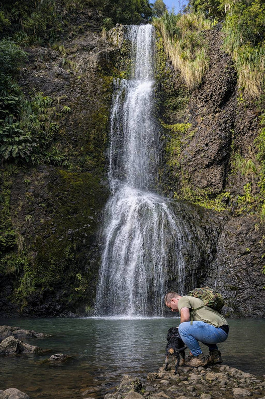 Kitekite Falls Walk, Piha: Honest Guide to Auckland’s Best Waterfall Hike
