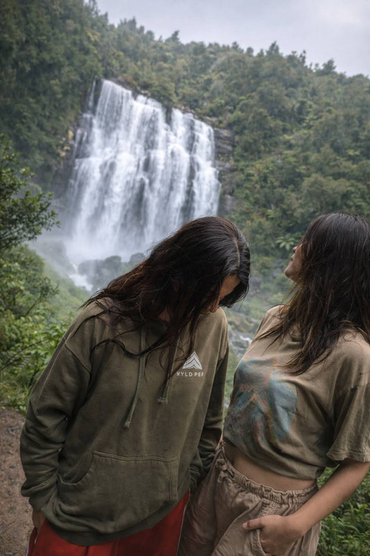 Waitomo Scenic Drive Stops: Best Easy Walks in One Trip