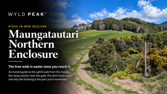 Maungatautari Northern Enclosure: The Free Walk With a Steep Start