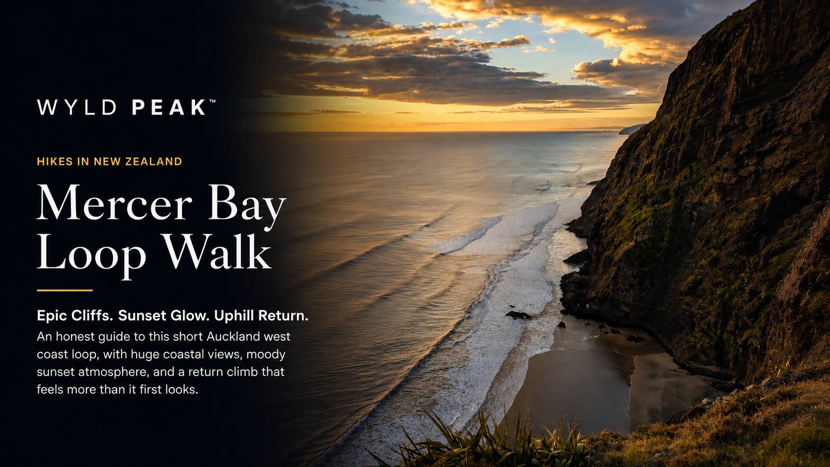 Mercer Bay Loop Walk Auckland | Piha West Coast Views