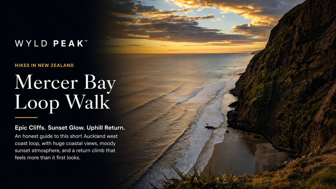 Mercer Bay Loop Walk Auckland: Short West Coast Walk with Huge Tasman Sea Views