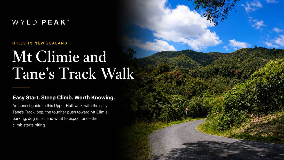 Mt Climie Track and Tane’s Track: What the Climb Is Really Like
