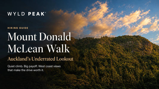 Mount Donald McLean Walk: Honest Guide to Auckland’s Underrated Lookout