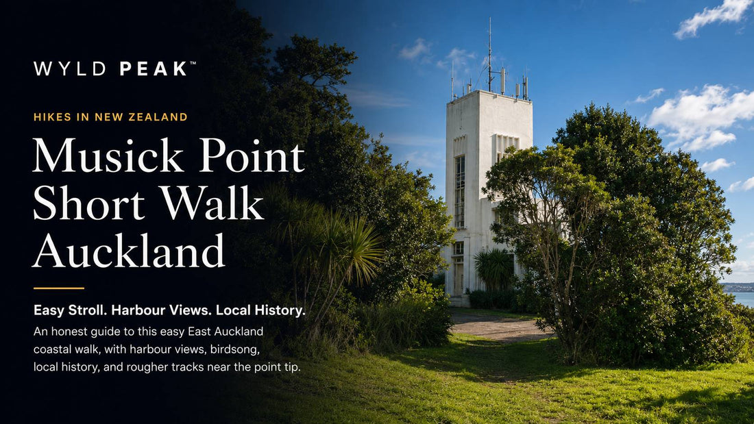 Musick Point Short Walk Auckland: Easy Harbour Views, Tūī Song and Local History