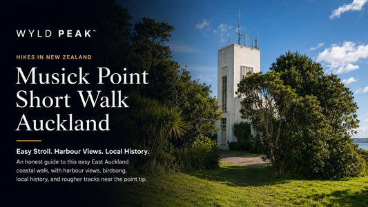 Musick Point Short Walk Auckland: Easy Harbour Views, Tūī Song and Local History