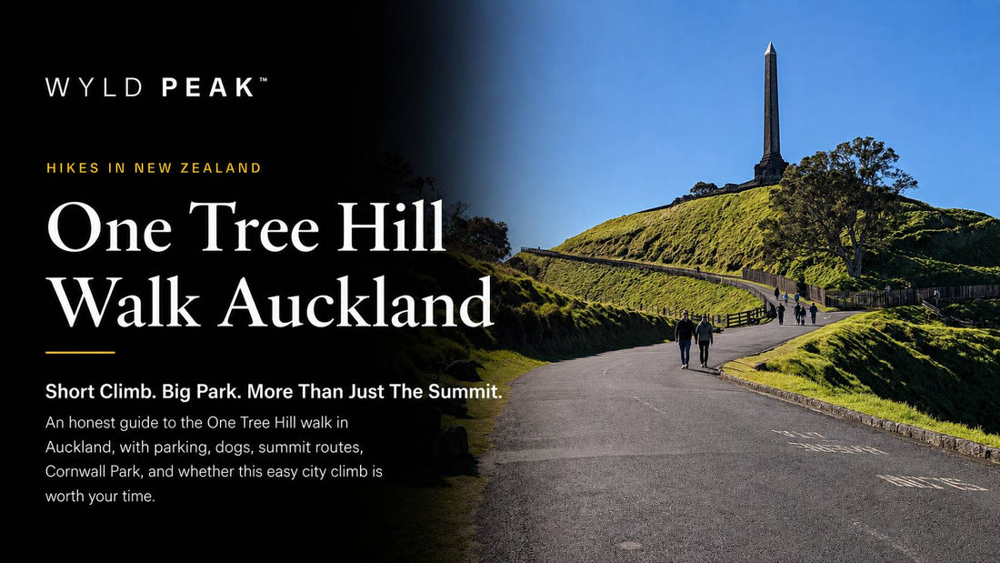 Maungakiekie / One Tree Hill Walk Auckland: Parking, Route and Honest Verdict