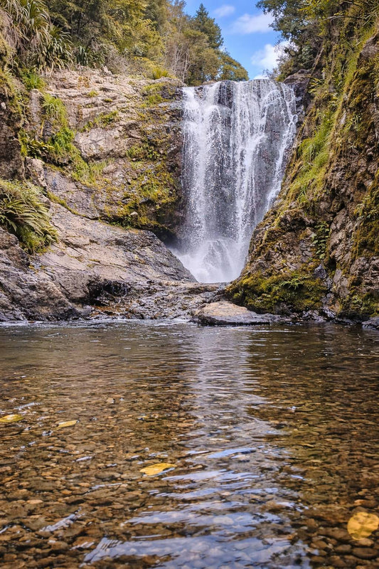 Piroa Falls Walk: Easy Northland Waterfall Worth the Stop