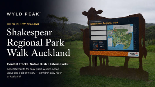 Shakespear Regional Park Walk: Easy Coastal Tracks Near Auckland