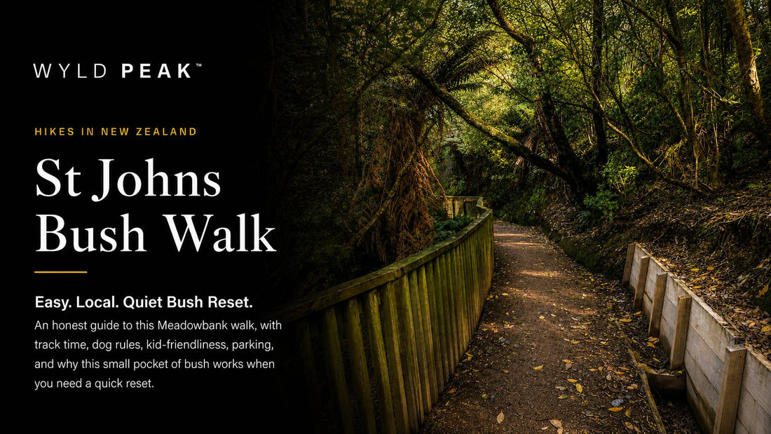 St Johns Bush Walk in Meadowbank: What It’s Really Like