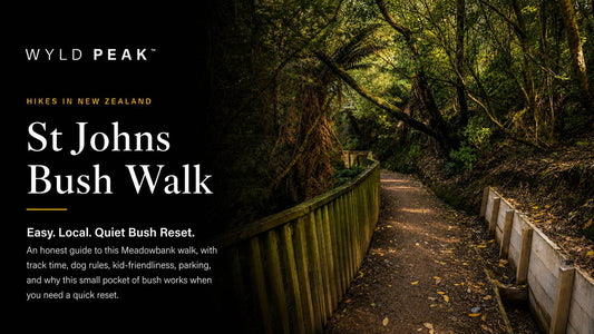 St Johns Bush Walk in Meadowbank: What It’s Really Like