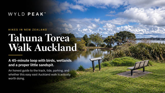 Tahuna Torea Walk Auckland: Easy Coastal Loop, Birds & What It’s Really Like