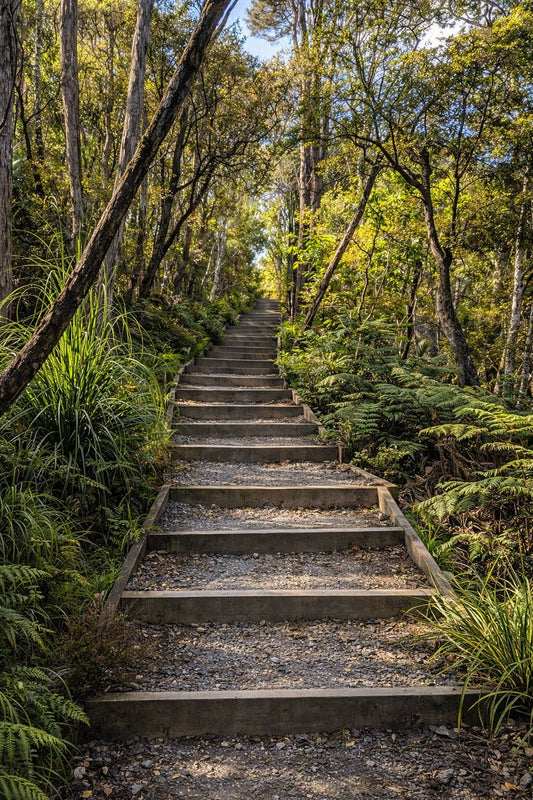 Do You Need Hiking Poles in New Zealand? Honest Guide for Beginners