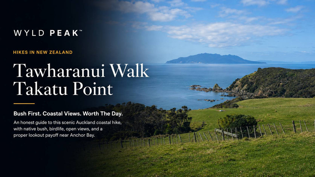 Tāwharanui Walk to Takatu Point Lookout: Auckland Coastal Hike with Bush, Birds and Beach Finish