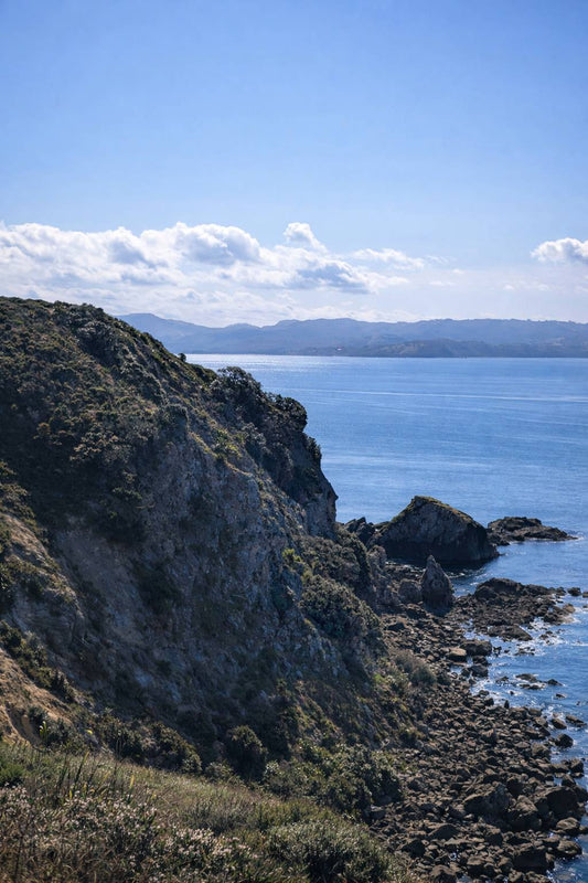 Tawharanui Walk to Takatu Point Lookout: Honest Guide to One of Auckland’s Best Coastal Hikes