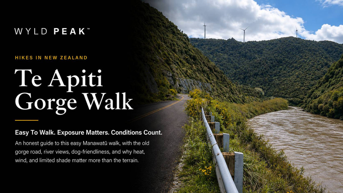 Te Āpiti Gorge Old Road Walk: What the Abandoned Highway Is Like Now