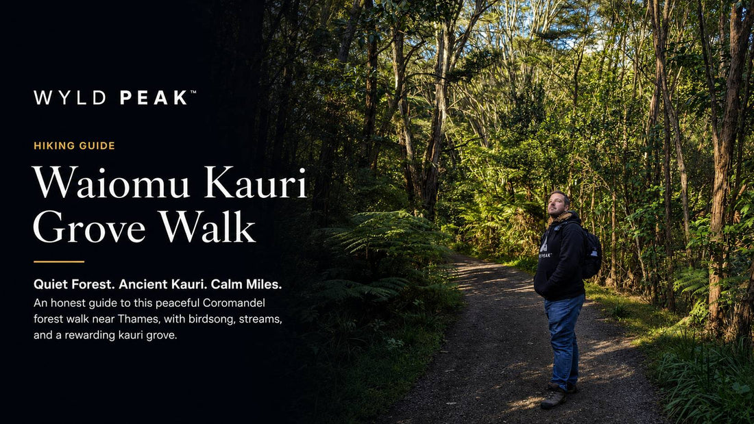 Waiomu Kauri Grove Walk: Honest Guide to a Quiet Kauri Forest Near Thames