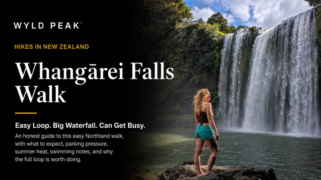 Whangārei Falls Walk: What to Expect Before You Go