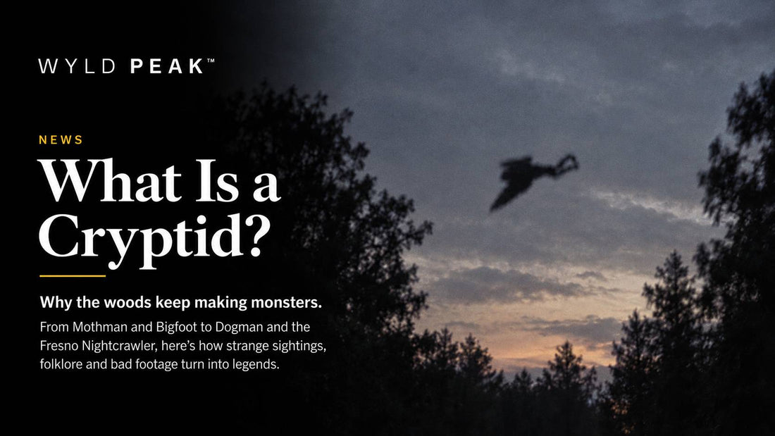 What Is a Cryptid? Why the Woods Keep Making Monsters