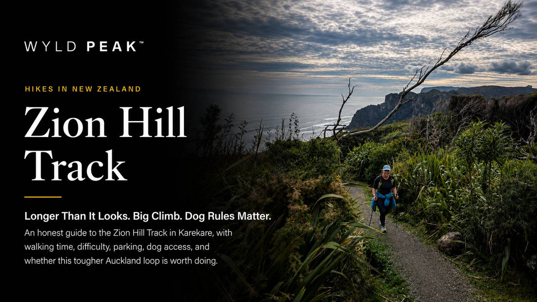 Zion Hill Track Auckland: What Caught Us Out on the Karekare Loop